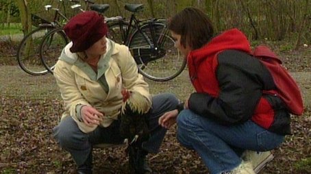The First Rooster (1992) - Episode 14 poster and promotional image