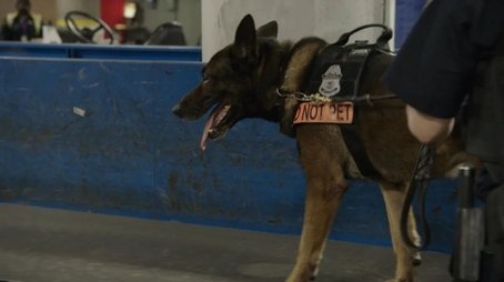 Meth Lab Takedown (2021) - Episode 15 poster and promotional image