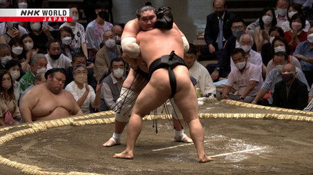 GRAND SUMO Highlights Сезон 13