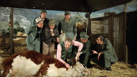 The Birthday Girls (1982) - Episode 11 poster and promotional image