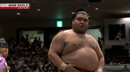 GRAND SUMO Highlights Сезон 13