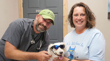 Heart and Foal (2022) - Episode 11 poster and promotional image