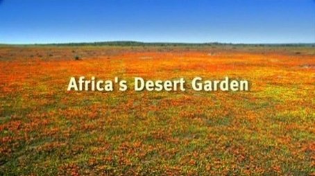 Africa's Desert Garden (2007) - Episode 6 poster and promotional image