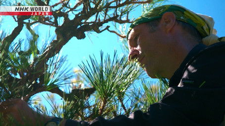 Handcrafting the Beauty of Nature (2022) - Episode 32 poster and promotional image