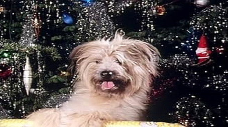 Here's Boomer Évad 1