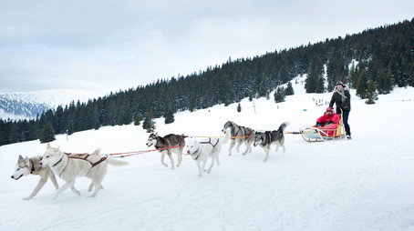 Až po uši Sezóna 2