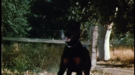 Hounds of Hell (1973) - Episode 4 poster and promotional image