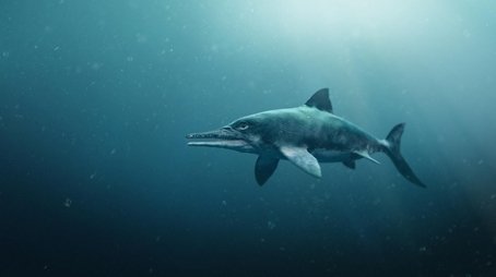 Attenborough and the Sea Dragon (2019) - Episode 7 poster and promotional image
