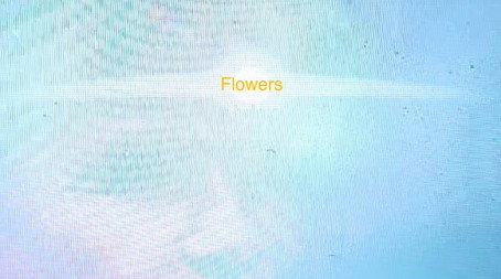 Flowers (2024) poster