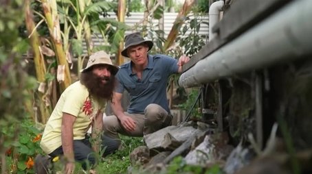 Episode 36 Native Daisies, Sustainable Garden Design & Soil Science (2021) - Episode 36 poster and promotional image