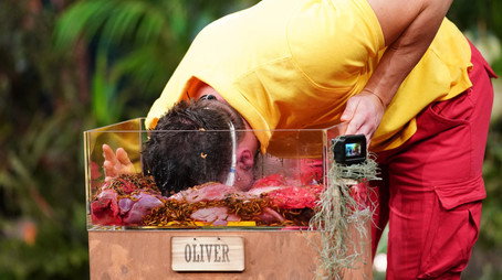 Ich bin ein Star - Die große Dschungelshow Sezóna 1