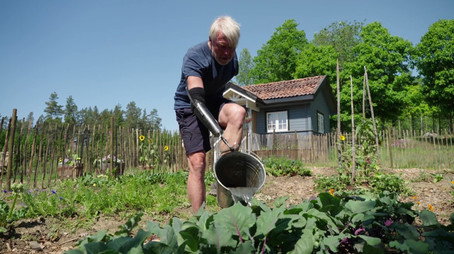 Farmen Kjendis Сезон 8