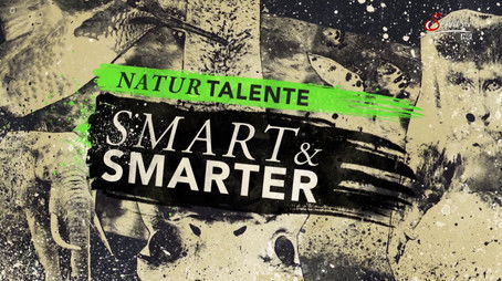 Episode 219 (2016) - Episode 219 poster and promotional image