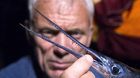River Monsters Сезон 9