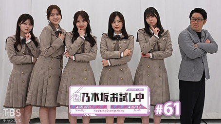 乃木坂お試し中 Сезон 6