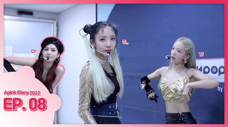 에이핑크 다이어리 Сезон 9