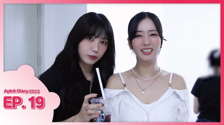 에이핑크 다이어리 Сезон 10