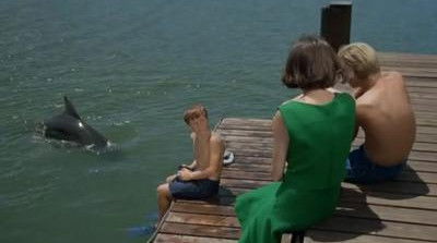 Lady and the Dolphin (1) (1964) - Episode 12 poster and promotional image