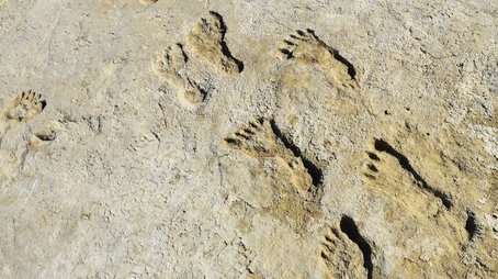 Ice Age Footprints (2022) - Episode 9 poster and promotional image