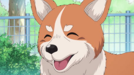 Puppies of War (2020) - Episode 12 poster and promotional image