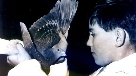 Flights of Fancy: Pigeons and the British (2017) - Episode 5 poster and promotional image