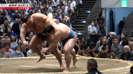 GRAND SUMO Highlights Сезон 35