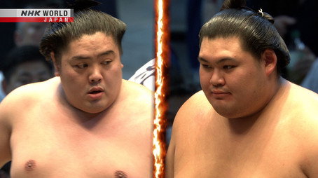 GRAND SUMO Highlights Сезон 30