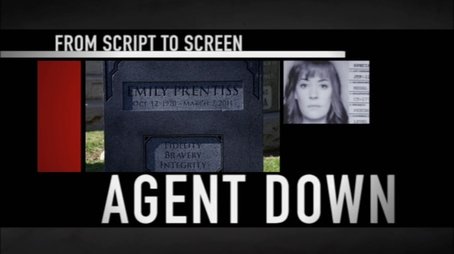 From Script to Screen Agent Down
