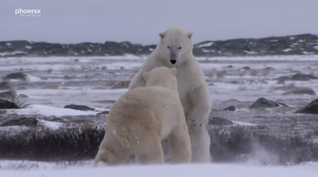 Episode 371 (2021) - Episode 371 poster and promotional image