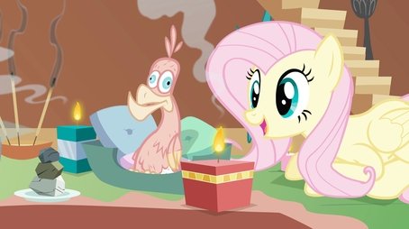 A Bird in the Hoof (2011) - Episode 22 poster and promotional image