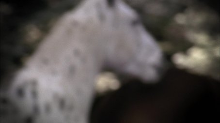 Aftermath (2012) - Episode 13 poster and promotional image