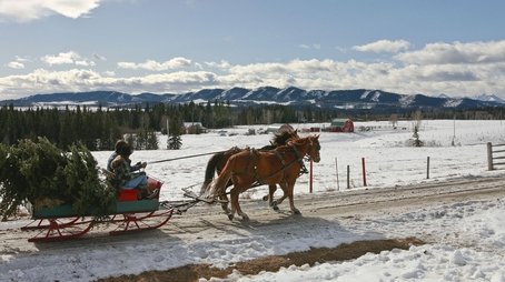 A Heartland Christmas (2010) - Episode 1 poster and promotional image
