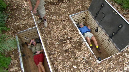 I'm a Celebrity...Get Me Out of Here! Сезон 12