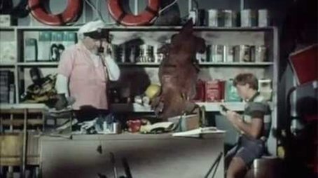 Flipper and the Shark Cage (1966) - Episode 20 poster and promotional image