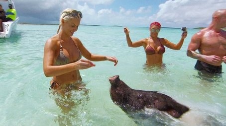 Swimming With Pigs (2017) - Episode 15 poster and promotional image