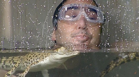 I'm a Celebrity...Get Me Out of Here! Сезон 6