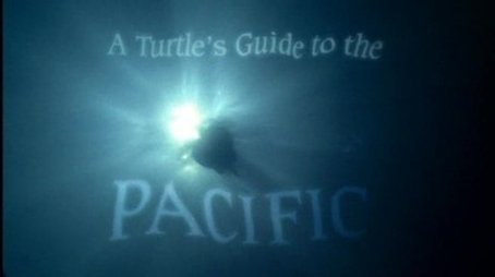 A Turtle's Guide to the Pacific (2008) - Episode 16 poster and promotional image