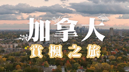 730 玩返轉 Сезон 1