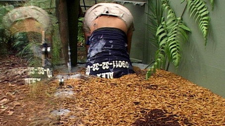 I'm a Celebrity...Get Me Out of Here! Сезон 3