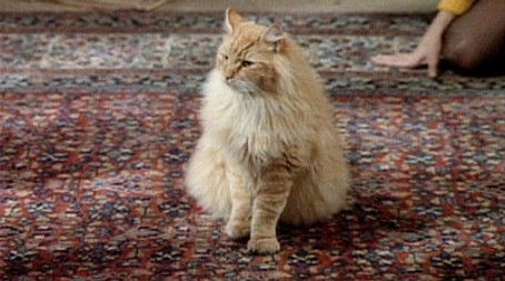 Mr. Bailey (1989) - Episode 10 poster and promotional image