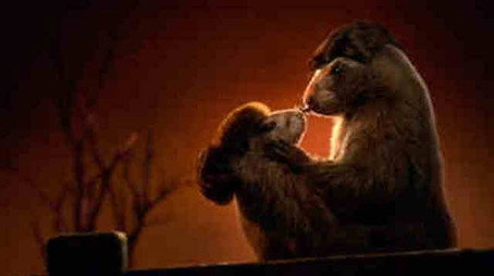 Les Marmottes Сезон 2