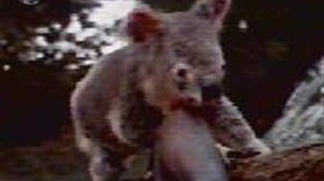 The Scarlet Koala (1994) - Episode 19 poster and promotional image