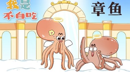 Episode 213 (None) - Episode 213 poster and promotional image