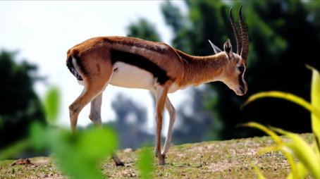 Race of life Évad 1