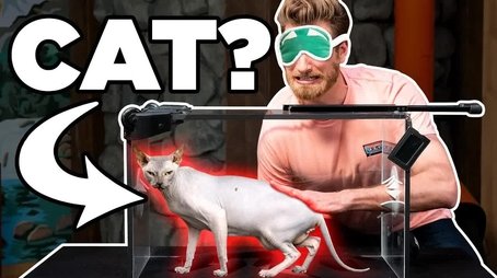 What's In My Suitcase? (GAME) (2019) - Episode 118 poster and promotional image