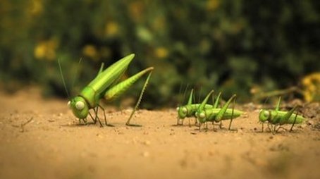 The grasshopper who didn't know how to leap (2011) - Episode 16 poster and promotional image