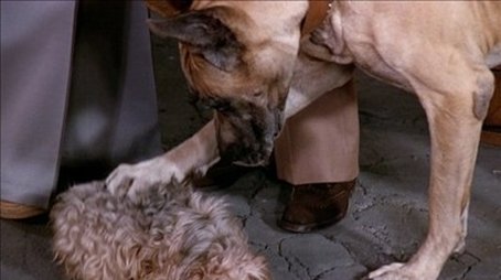 The Decision/Poor Little Rich Girl/Love Me, Love My Dog (1979) - Episode 22 poster and promotional image