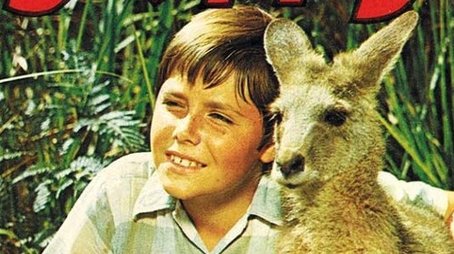 Skippy the Bush Kangaroo (1968) poster