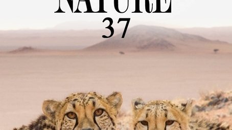 Season 37 (2018) - Season 37 poster and promotional image