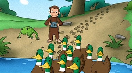 Animal Trackers